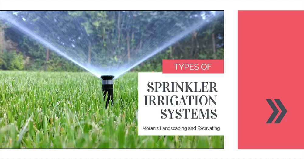 3 Types of Sprinkler Heads, Spartan Irrigation