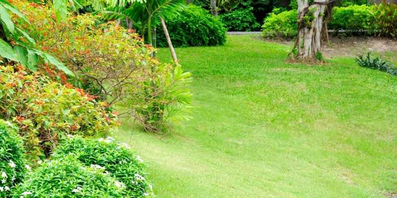 how to improve the yard slope
