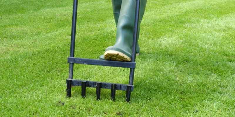 steps to aerate lawn