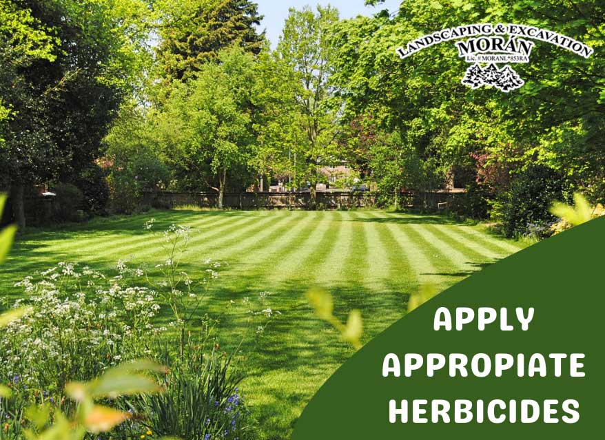 Importance of applying appropriate herbicides