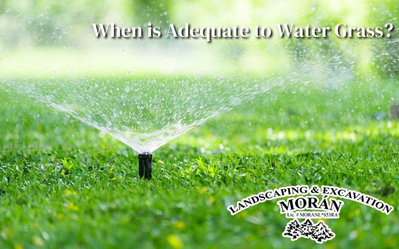 the best time to water your grass