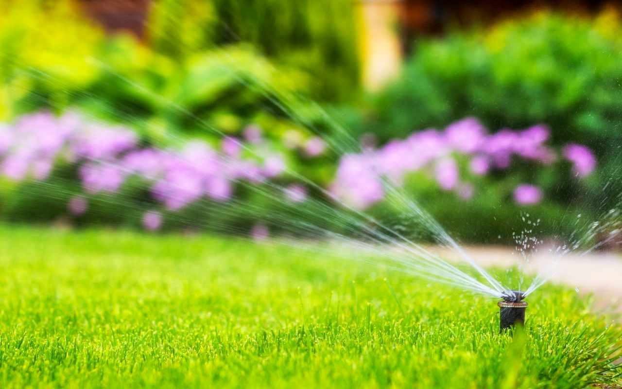 Discover all the benefits of a having a sprinkler system