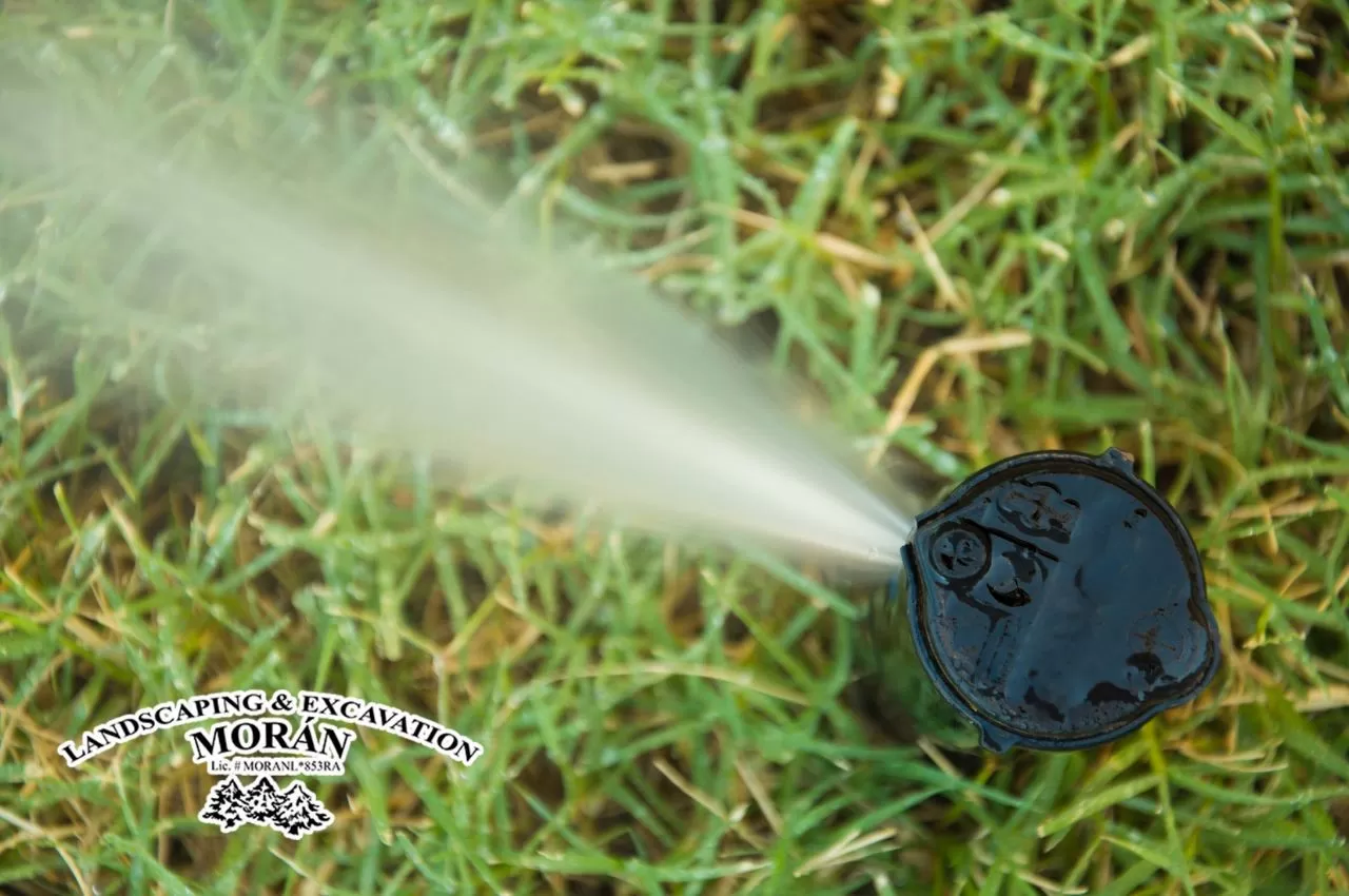 Discover the types of sprinkler heads