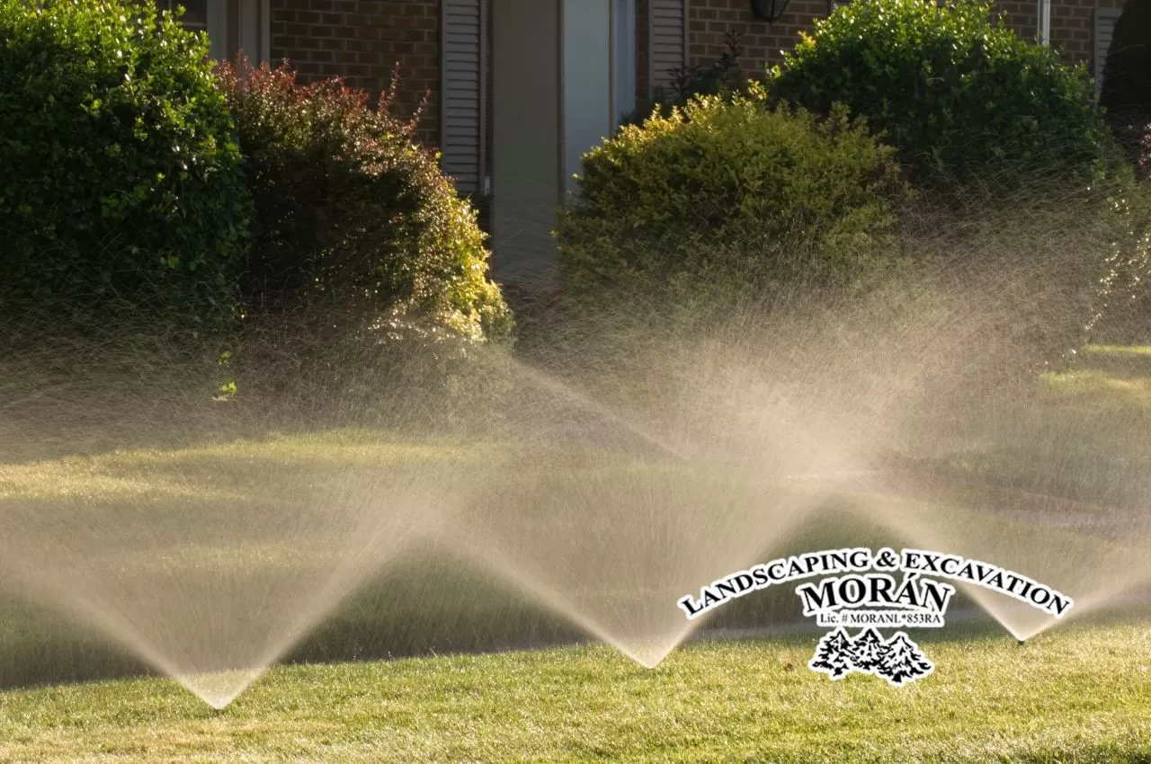 Essential information to ensure you use your sprinkler properly