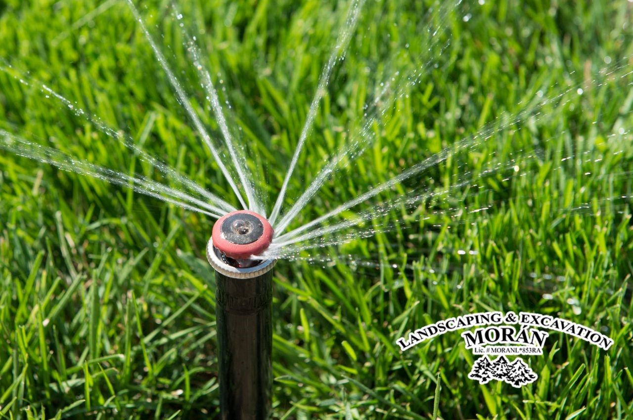 Discover all the different uses that sprinkler heads have