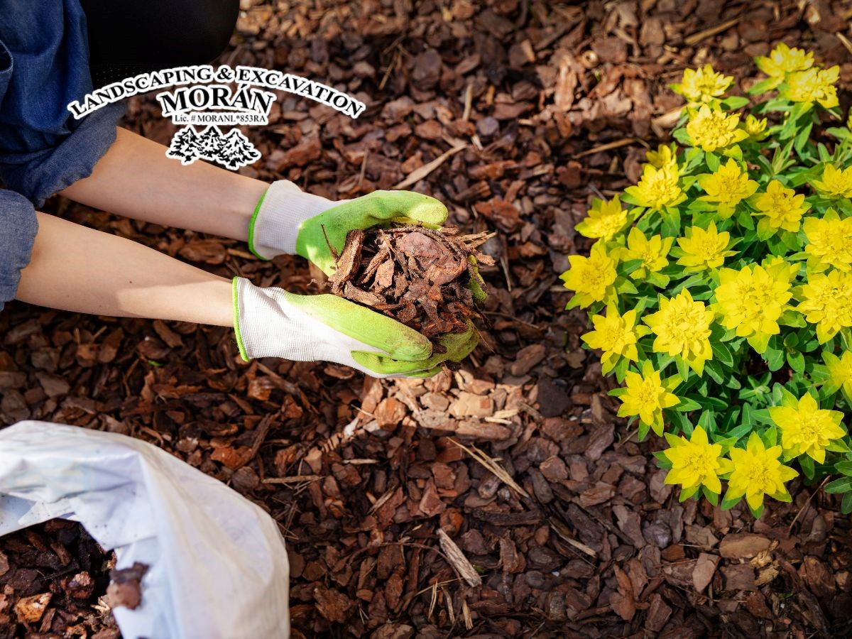 All the Reasons Why Mulching Will Change Your Gardening Game Forever