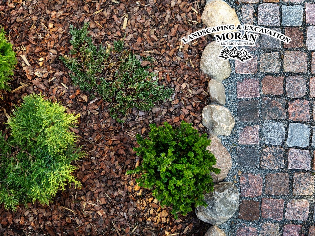 Transform your yard with mulching and by working with Moran's Landscaping & Excavation LLC