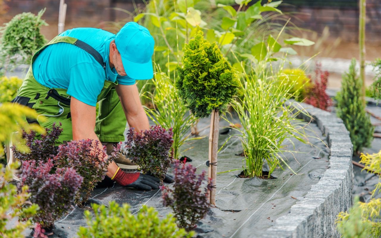 By combining native and drought-tolerant plants, utilizing mulching techniques, integrating hardscaping elements, and designing functional outdoor spaces, you can achieve an exquisite yard