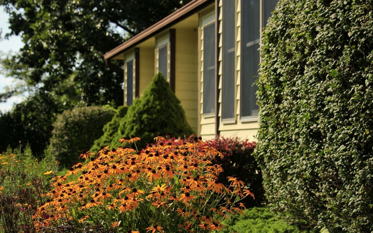 Native plants are well-adapted to the local climate and soil conditions, making them more resistant to pests and extreme weather.