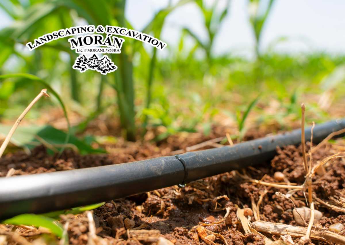 The Benefits of a Commercial Irrigation System