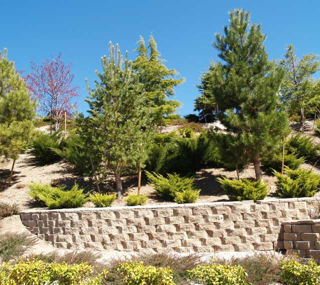 Choose Our Expert Retaining Wall Services