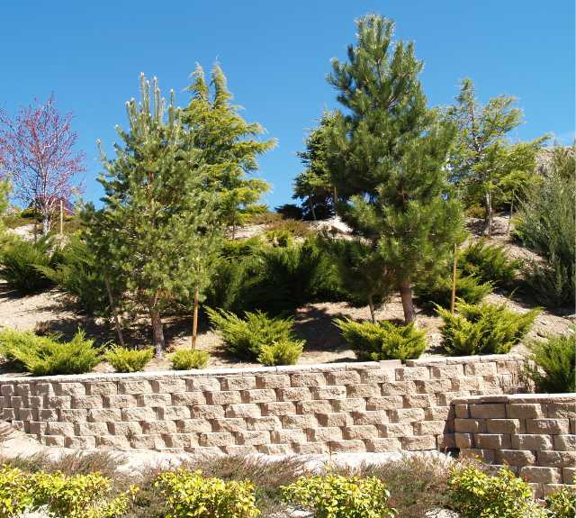 Optimize Your Space: Retaining Wall Services in Gig Harbor, WA.