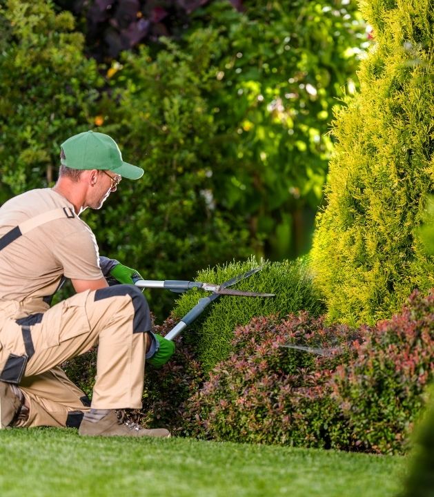 Landscaping maintenance crew caring for Bainbridge Island residential property.