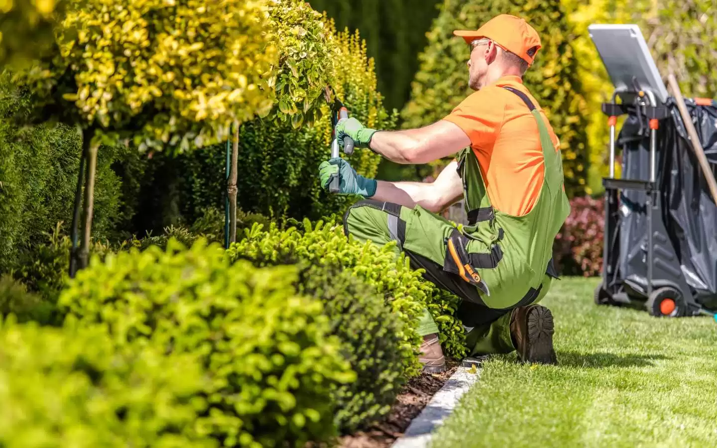 Benefits of Landscaping: Enhancing Your Space