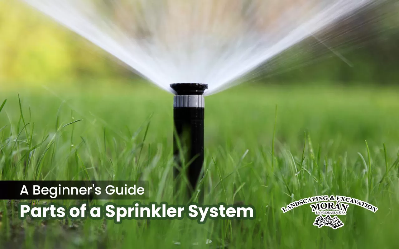 Parts of a sprinkler system.